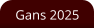 Gans 2025