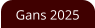 Gans 2025